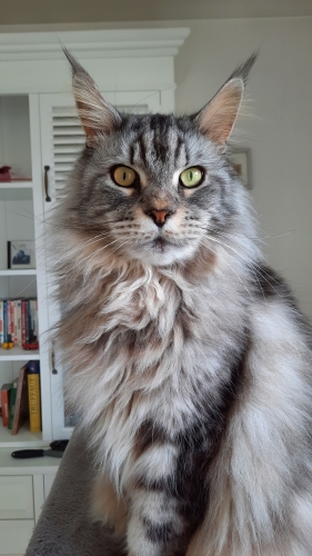 20240429_144642.jpg